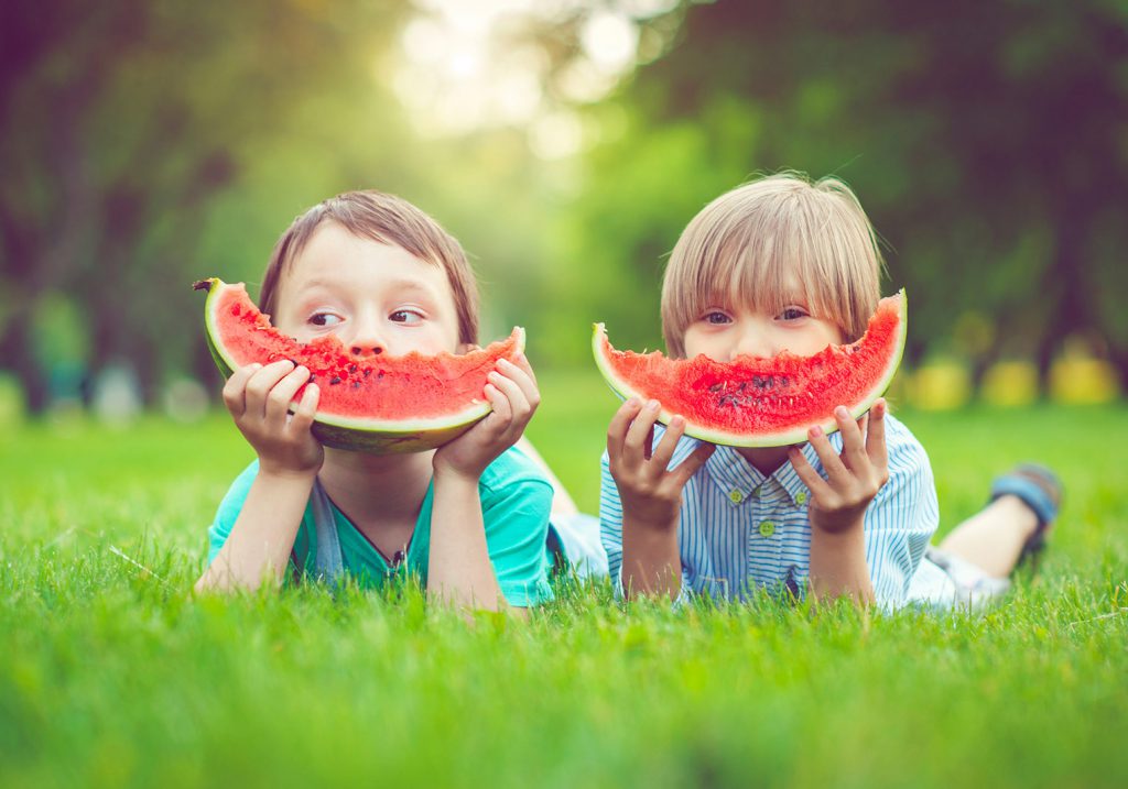 Alimentação